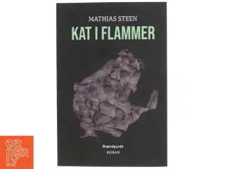 Kat i flammer : roman af Mathias Steen Hansen (f. 1992) (Bog)