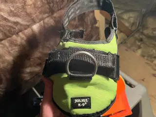 Julius-k9