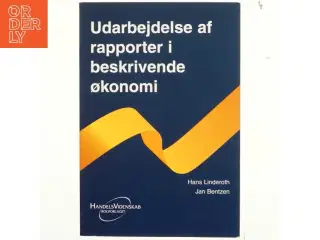 Udarbejdelse af rapporter i beskrivende økonomi (Bog)