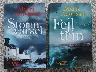 Storm varsel og Fejltrin af Maria Adolfsson
