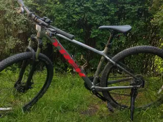 EFTERLYSNING!