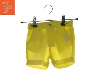 Shorts fra Skipper Club (str. 12 mdr.)