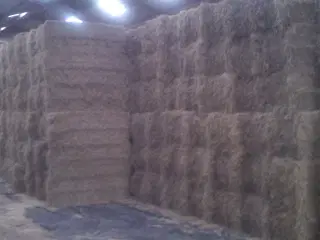 Vårbyg halm i minibigballer 80x90x240