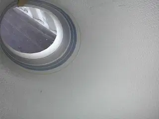 Allu Allu Plade Hobby 1996