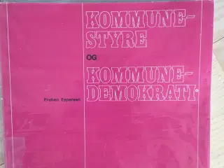 Kommunestyre og Kommunedemokrati