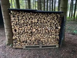 Nordmandsgran klar til brug