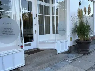 Smukkeste lokale på Strandvejen i Skovshoved.