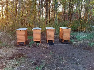 Bifamilie på 12-10 rammer.