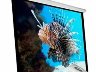 Phoenix projektorlærred 135" motoriseret - PHPANTALLA-ELEC240 (240 × 240 cm, 4:3)