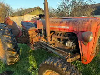 🚜 Massey Ferguson 35 benzin – kørende projekt 