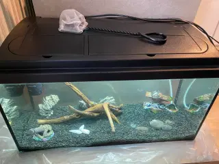 54 liter Akvarium 