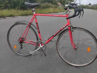 Raleigh racer