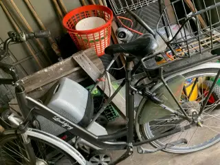 El cykel