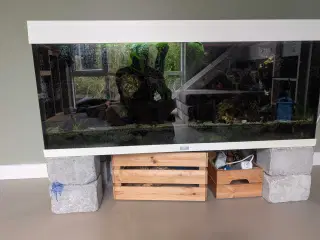 240l Juwel Rio akvarie