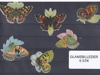 Glansbilleder - Sommerfugle - 6 Stk.