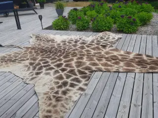 Girafskind 