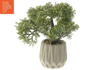 Kunstig bonsai træ i krukke fra Jysk (str. 21x20 cm)