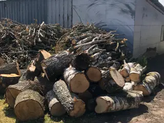 Godt blandet træ / brænde