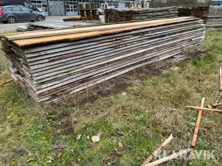 Kalmar brædder lærk