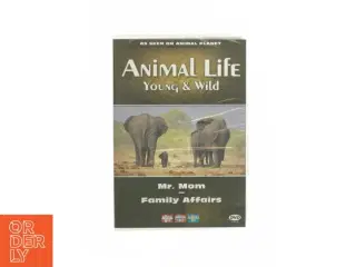 Animal life - Young & Wild (DVD)