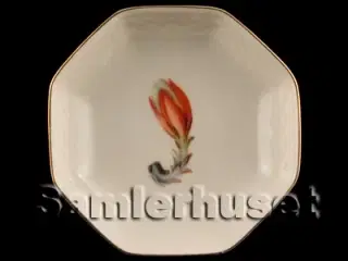Kaktus Askebæger