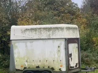 Hestetrailer