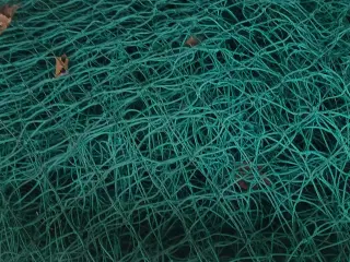 Opdrætsgrej til fjerkræ