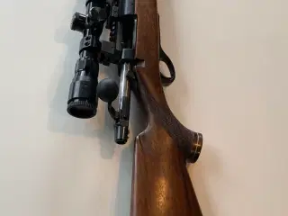 Remington 600 Mohawk .308