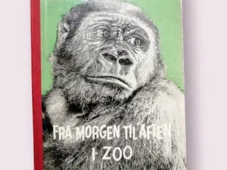 Antikvarisk børnebog, "Fra morgen til aften i Zoo"