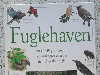 Fuglehaven 