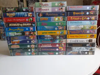 Disney WHS film