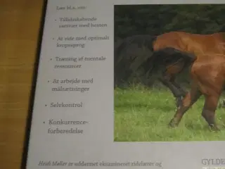 Heidi Møller. DEN KOMPETENTE RYTTER.