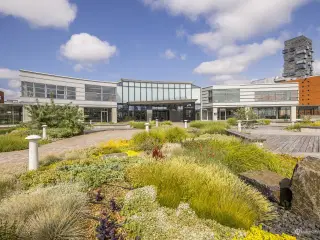 1.045 m² kontor med direkte udgang til gårdhave