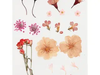 Tørrede blomster og blade, lys rosa, 1 pk.