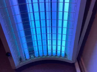 Brugt solarium Palm Beach. 185 cm x 70 cm ca.