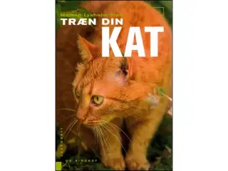 Træn din Kat