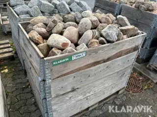 Pigsten 1 styk bur