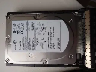 Server HD Segate Cheetah 10K.7 Ultra U320 SCSI 