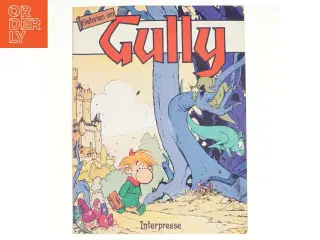 Gully