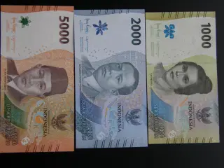 Indonesien 3 Stk. Unc.