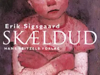 Erik Sigsgaard: Skældud