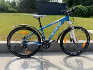 Mountainbike Cannondale SL4 