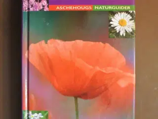vilde blomster, af neil fletcher, emne: biologi og
