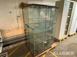 Glasmontre - 5 styk
