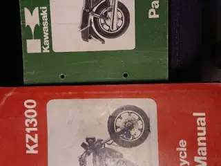Kawa  Z1300 