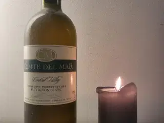 CM Comte Deel Mar, sauvignon blanc, Chile, hvidvin