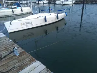 Forsejl Beneteau 25 Carbon mylar