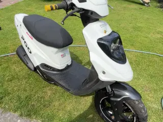 Pgo