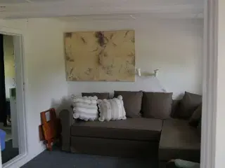 4 km fra Egeskov slot-sommerhus