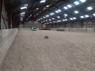 Opbevaring af campingvogne, både og mc